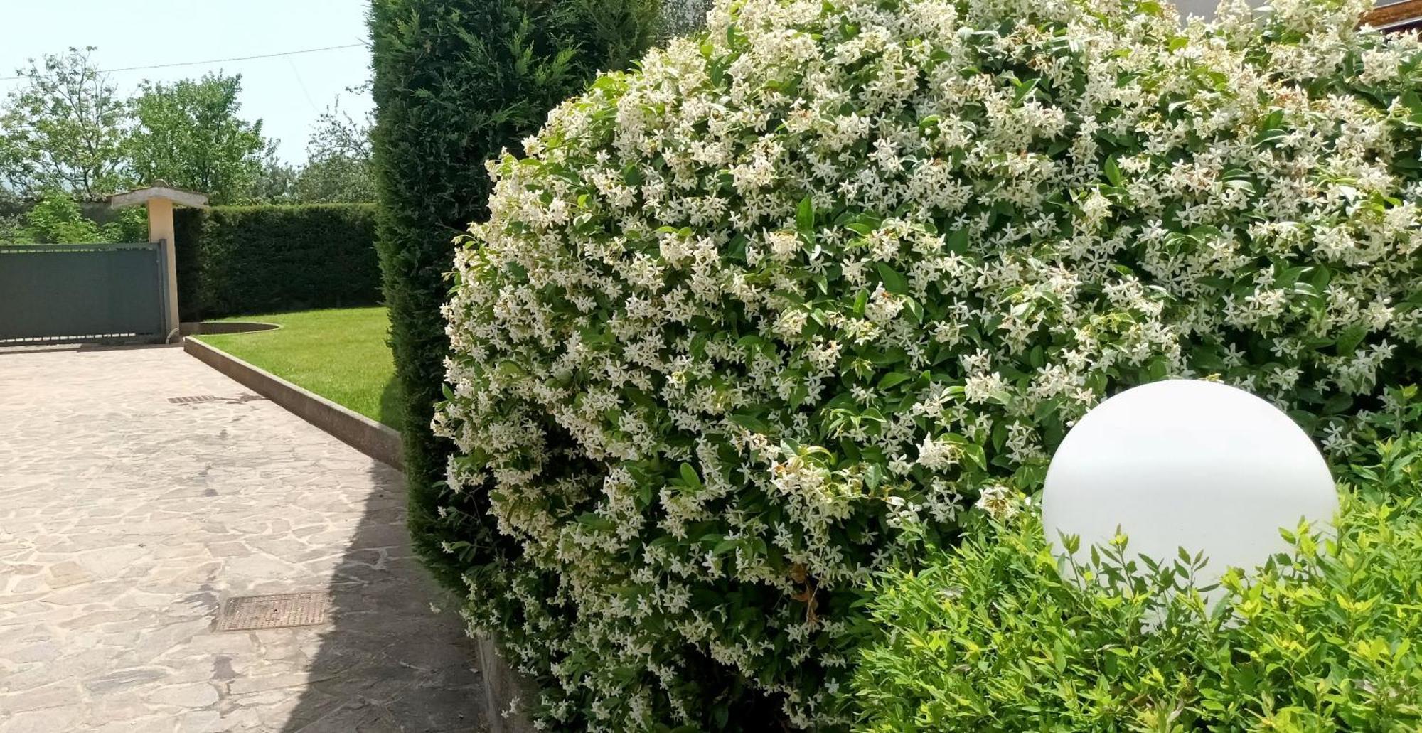 مبيت وإفطار Marano Marchesato La Residenza Del Marchesato المظهر الخارجي الصورة